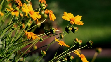 Start unserer neuen Serie: Reden Sie mit!