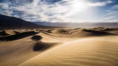 Umstrittenes Wüstenprojekt verliert weiteren Investor