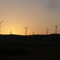 Windpark bei Sonnenuntergang