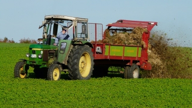 Bauernverband gegen EEG-Umlage