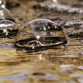 Bild Wasser