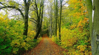 Natur erleben ohne Abgase