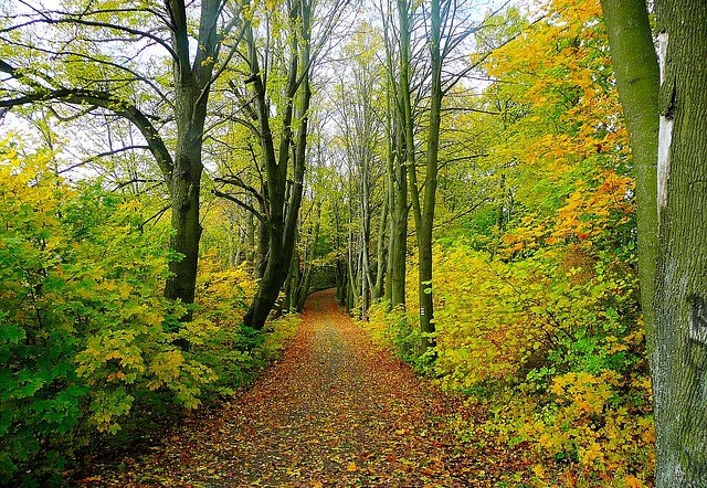 Natur erleben ohne Abgase