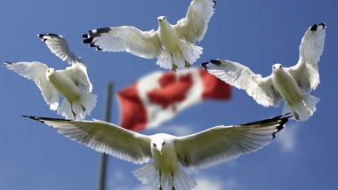 Senvion kündigt Fortschritt beim Riesen-Windprojekt in Kanada an