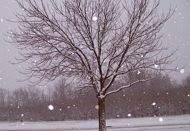 Dezember 2014 war der Windkraft-Rekordmonat dank dem stürmischen Wetter